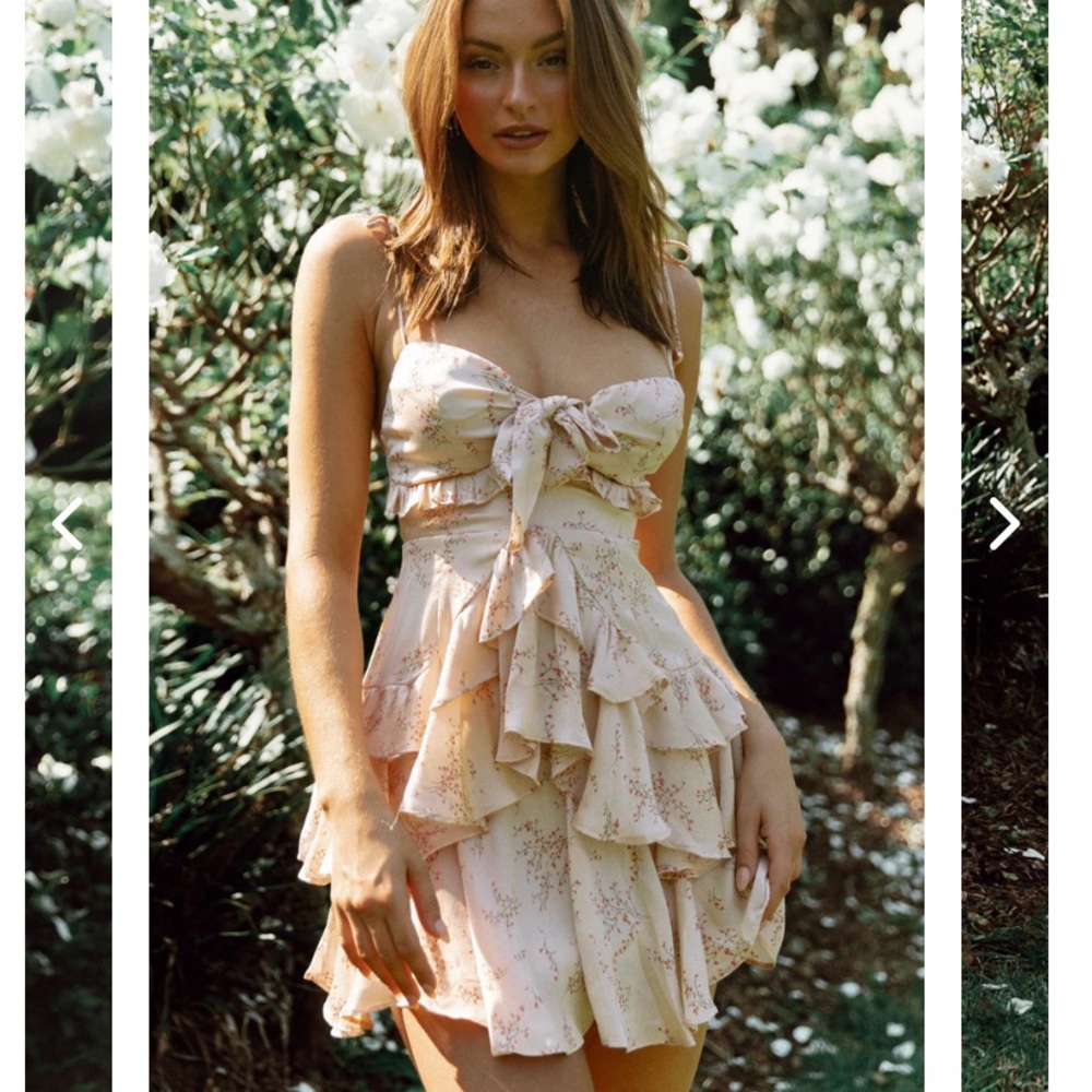 Selfie Leslie Dress